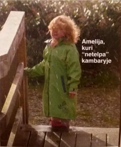 Mazylis 10 2010 Salti lietaus lasai_foto4